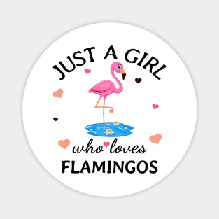 Just a Girl Who Loves flamingos Gift Magnet